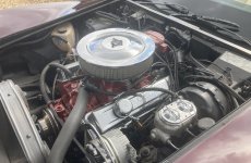 vet31