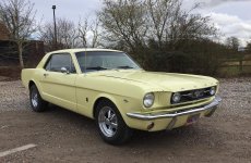 Yellow66Mustang 029