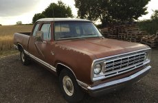 dodge d100 074