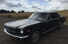 mustang66 353